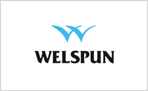 Welspun Energy Ltd.